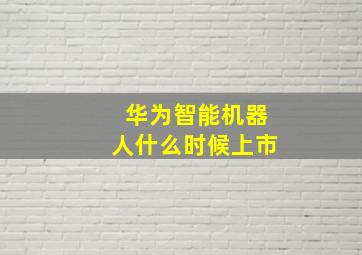 华为智能机器人什么时候上市