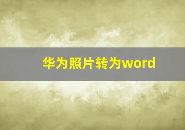 华为照片转为word