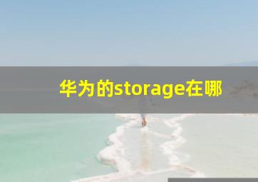 华为的storage在哪