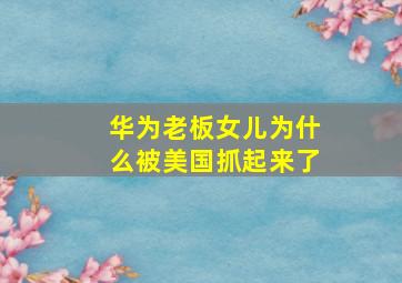 华为老板女儿为什么被美国抓起来了