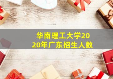 华南理工大学2020年广东招生人数