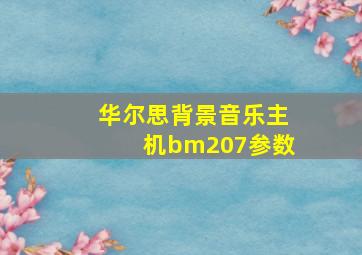 华尔思背景音乐主机bm207参数