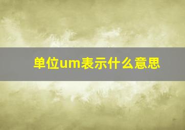 单位um表示什么意思