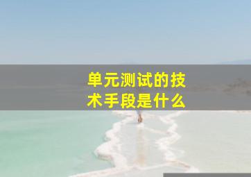 单元测试的技术手段是什么