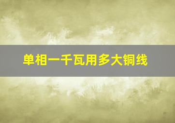 单相一千瓦用多大铜线