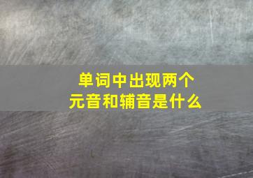 单词中出现两个元音和辅音是什么