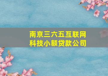 南京三六五互联网科技小额贷款公司