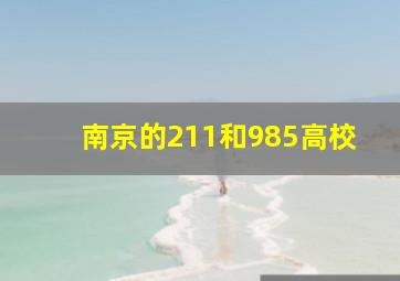 南京的211和985高校