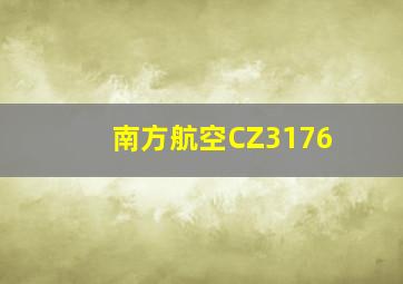 南方航空CZ3176