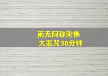 南无阿弥陀佛大悲咒30分钟