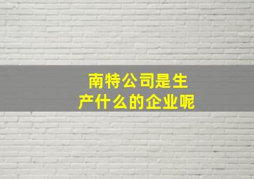 南特公司是生产什么的企业呢