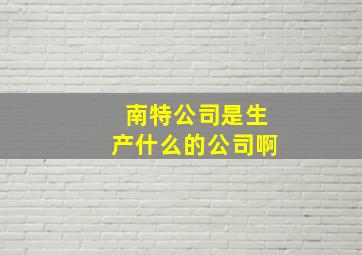 南特公司是生产什么的公司啊