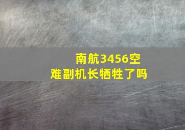 南航3456空难副机长牺牲了吗