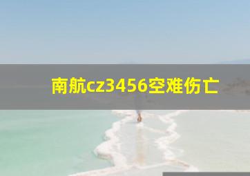 南航cz3456空难伤亡