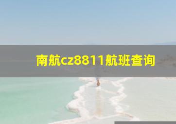 南航cz8811航班查询