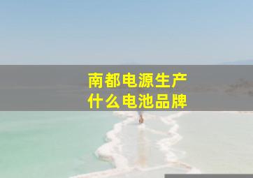 南都电源生产什么电池品牌