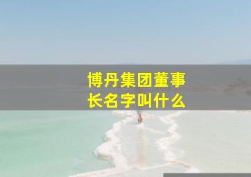 博丹集团董事长名字叫什么