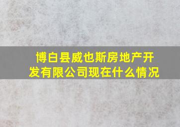 博白县威也斯房地产开发有限公司现在什么情况