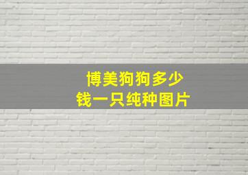 博美狗狗多少钱一只纯种图片