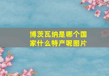 博茨瓦纳是哪个国家什么特产呢图片