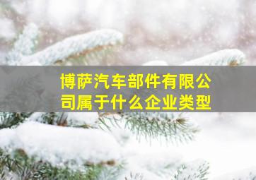 博萨汽车部件有限公司属于什么企业类型