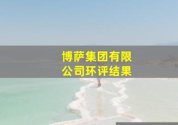 博萨集团有限公司环评结果