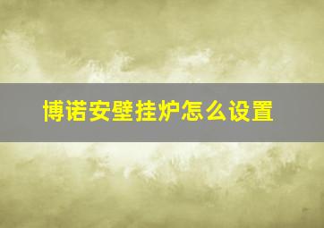 博诺安壁挂炉怎么设置