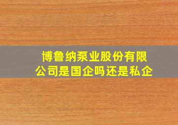 博鲁纳泵业股份有限公司是国企吗还是私企