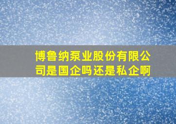 博鲁纳泵业股份有限公司是国企吗还是私企啊