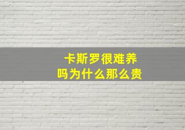 卡斯罗很难养吗为什么那么贵