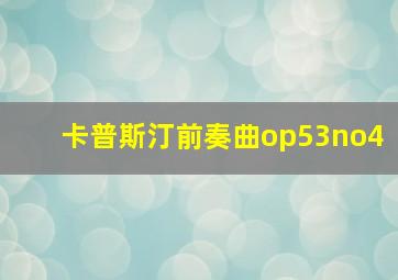 卡普斯汀前奏曲op53no4