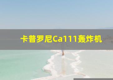 卡普罗尼Ca111轰炸机