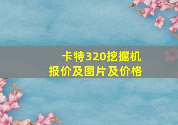 卡特320挖掘机报价及图片及价格