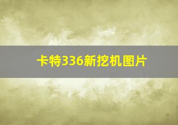 卡特336新挖机图片