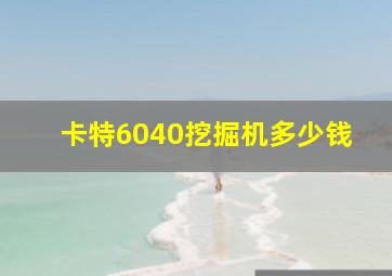 卡特6040挖掘机多少钱