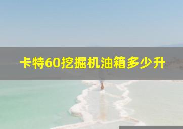 卡特60挖掘机油箱多少升