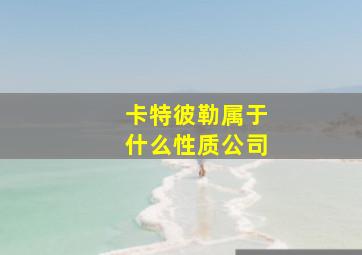 卡特彼勒属于什么性质公司