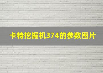 卡特挖掘机374的参数图片