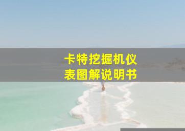 卡特挖掘机仪表图解说明书