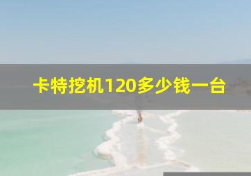 卡特挖机120多少钱一台