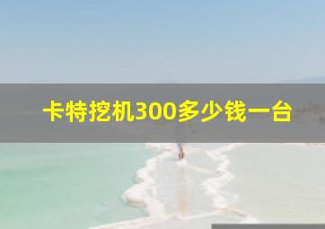 卡特挖机300多少钱一台