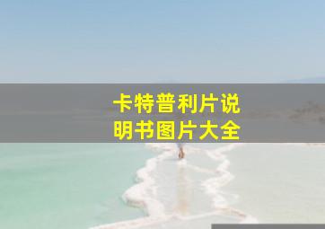 卡特普利片说明书图片大全