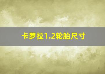 卡罗拉1.2轮胎尺寸