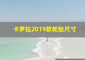 卡罗拉2019款轮胎尺寸