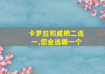 卡罗拉和威朗二选一,您会选哪一个