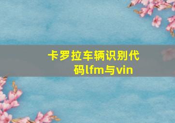 卡罗拉车辆识别代码lfm与vin