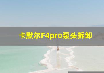 卡默尔F4pro泵头拆卸