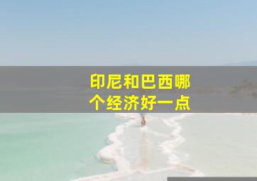 印尼和巴西哪个经济好一点