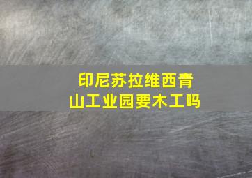 印尼苏拉维西青山工业园要木工吗