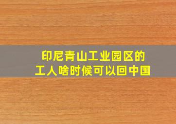 印尼青山工业园区的工人啥时候可以回中国